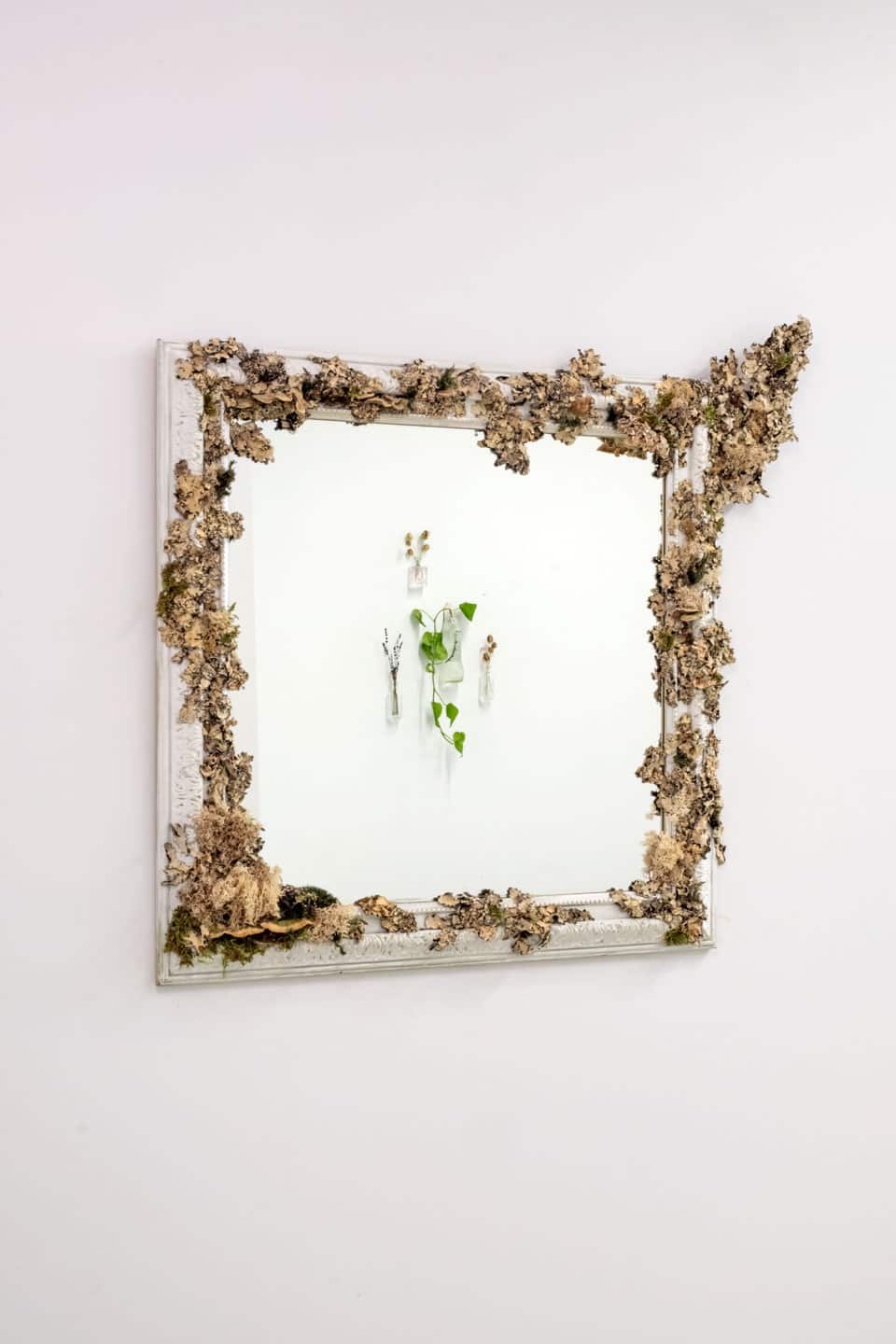 Peculiar Movements/Green Junctions at NAMARA projects